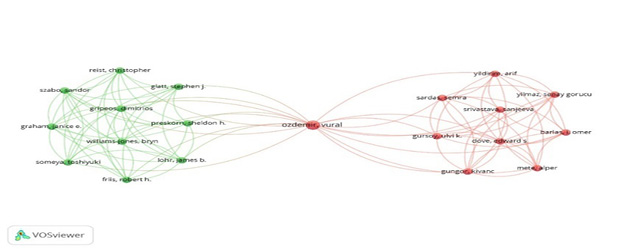 C:\Users\hmoraga\Documents\2022\Paper\jorge ormeño - bioetica  -  mayo\Grafos\Grafo 1 Autores.jpg